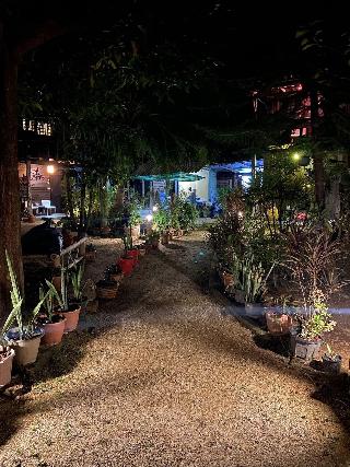 Leaf House Bungalow Hostel fotoÄŸrafÄ±