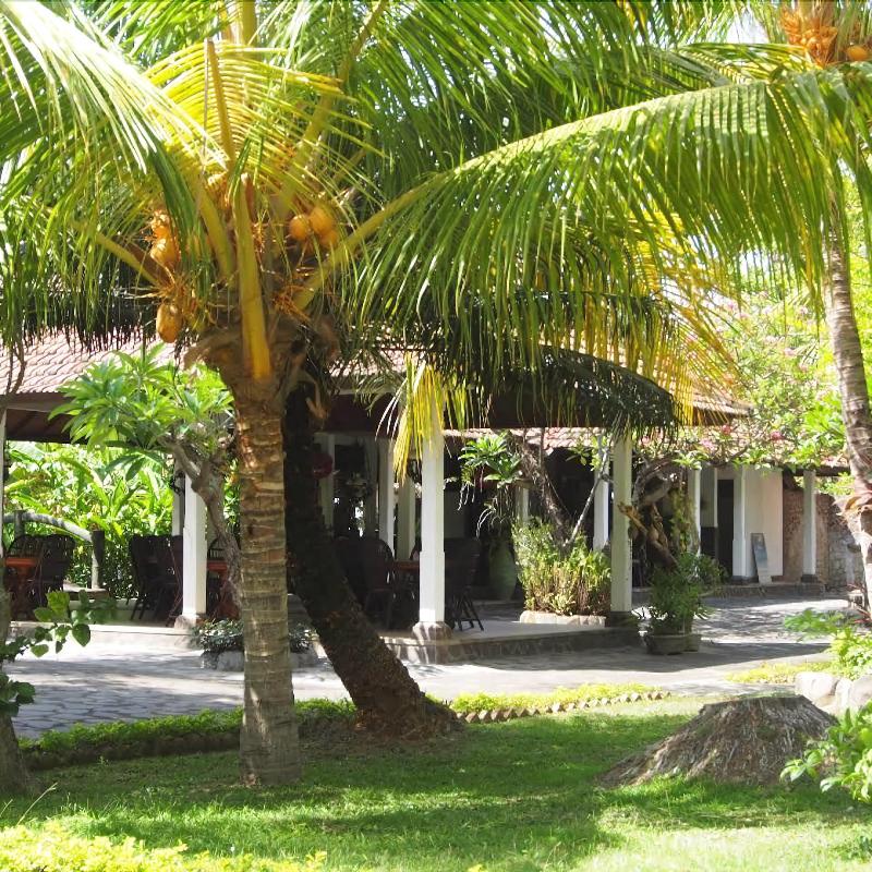 Rini Hotel - Genel