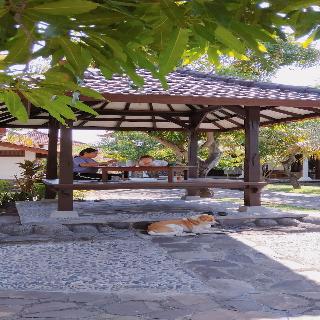 Rini Hotel fotoÄŸrafÄ±