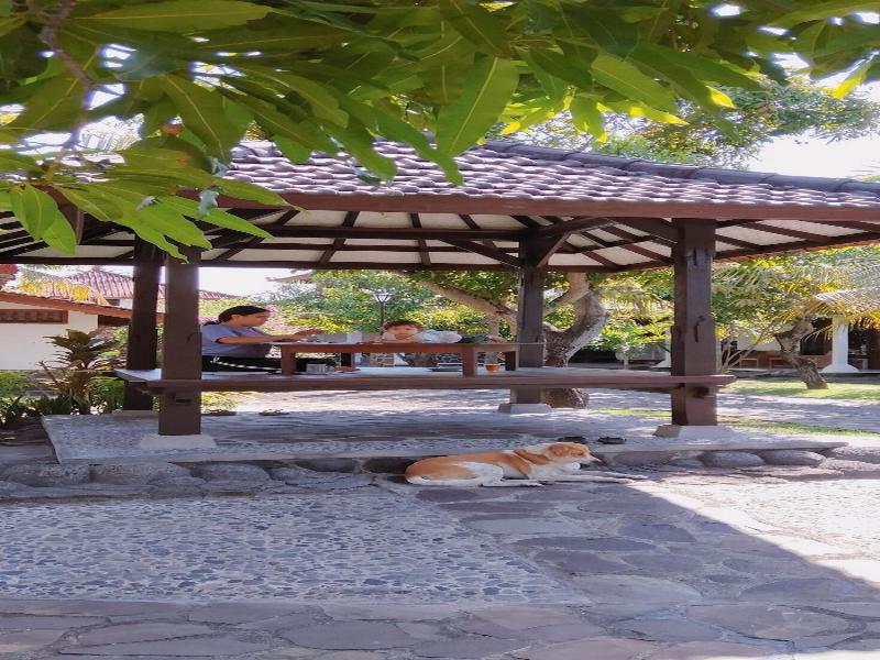Rini Hotel - Oda