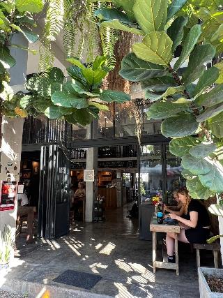 Hobnob Hostel Adults Only fotoÄŸrafÄ±