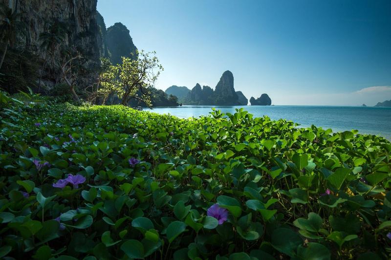 Tinidee Hideaway At Tonsai Beach Krabi - Aktivite