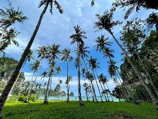 Tinidee Hideaway At Tonsai Beach Krabi fotoÄŸrafÄ±