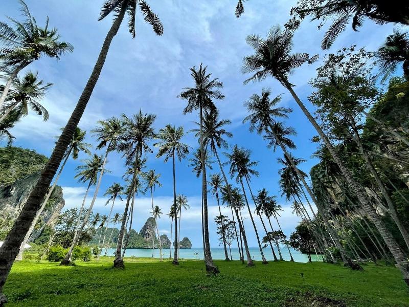 Tinidee Hideaway At Tonsai Beach Krabi - Genel
