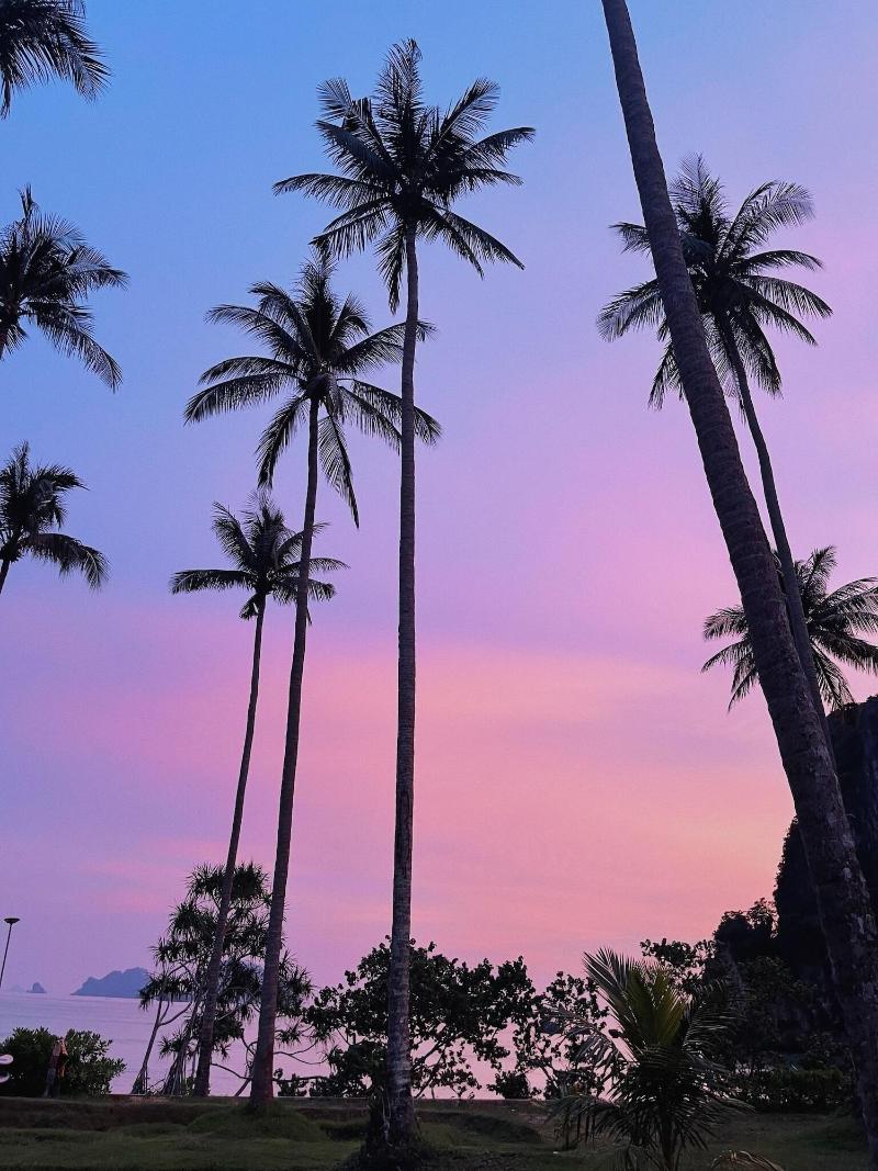 Tinidee Hideaway At Tonsai Beach Krabi - Oda