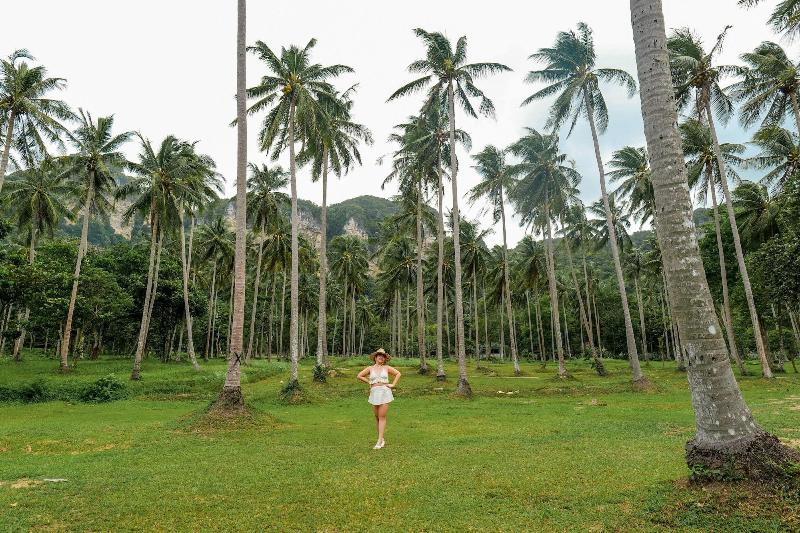 Tinidee Hideaway At Tonsai Beach Krabi - Oda