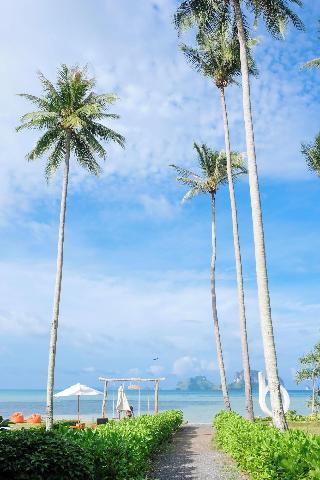 Tinidee Hideaway At Tonsai Beach Krabi fotoÄŸrafÄ±