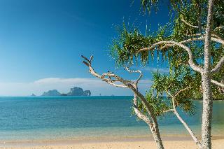 Tinidee Hideaway At Tonsai Beach Krabi fotoÄŸrafÄ±