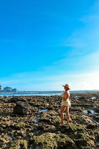 Tinidee Hideaway At Tonsai Beach Krabi fotoÄŸrafÄ±