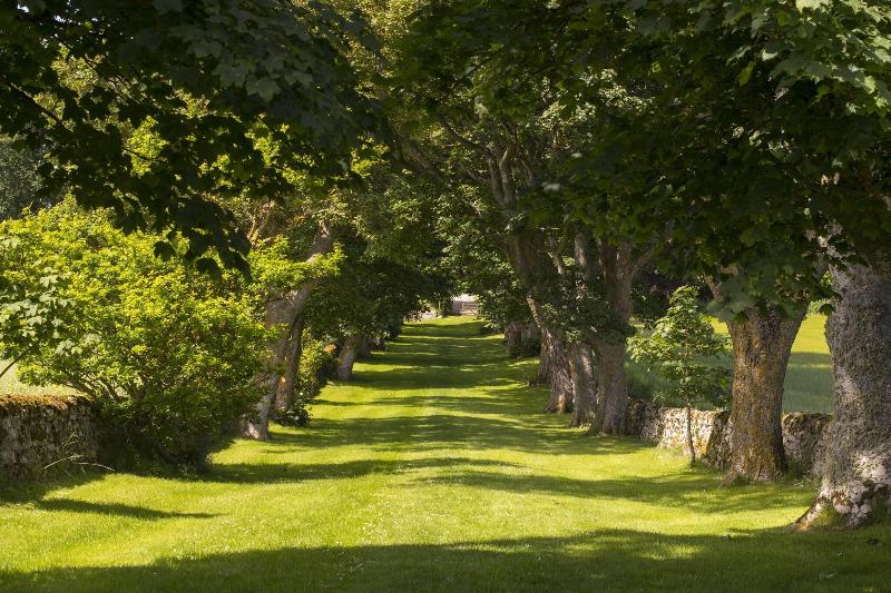 Glenmorangie House - Genel