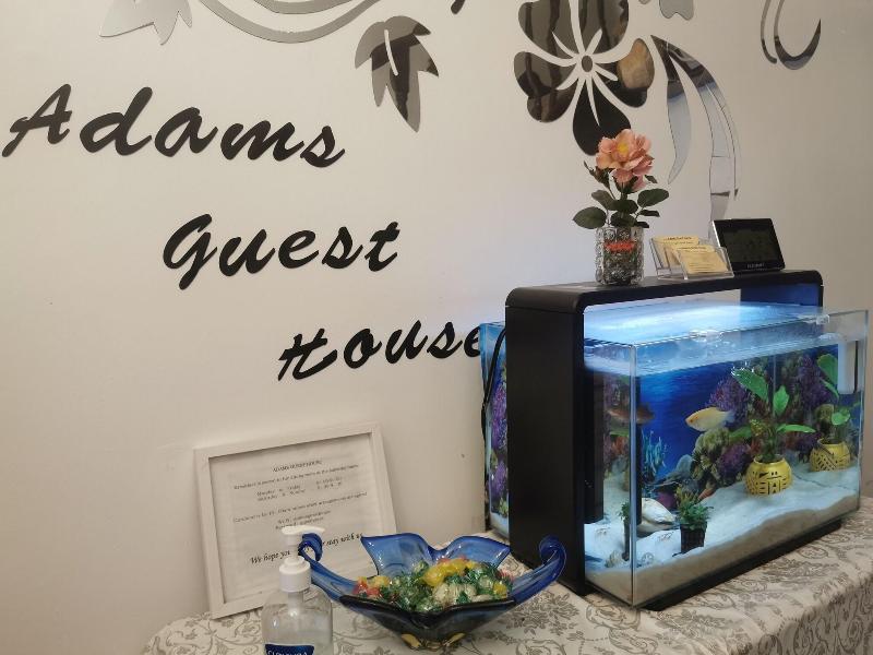 Adams Guest House - Lobi
