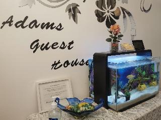 Adams Guest House fotoÄŸrafÄ±