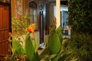 Sagita Bungalow by ZUZU fotoÄŸrafÄ±