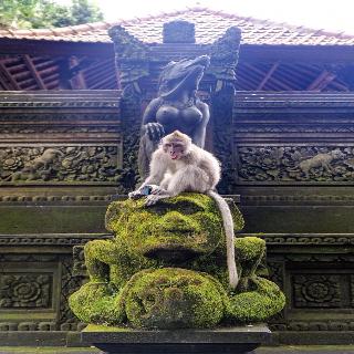 Nyoman Badri Homestay fotoÄŸrafÄ±