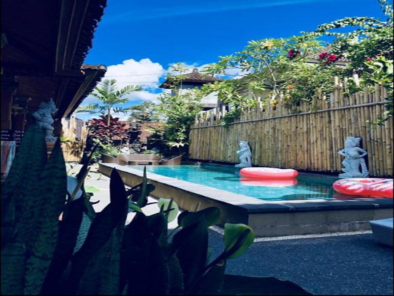 Nyoman Badri Homestay - Havuz
