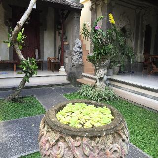 Teja Homestay fotoÄŸrafÄ±
