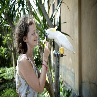 Teja Homestay fotoÄŸrafÄ±