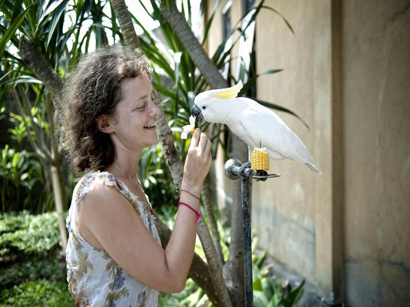 Teja Homestay - Genel