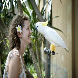 Teja Homestay fotoÄŸrafÄ±