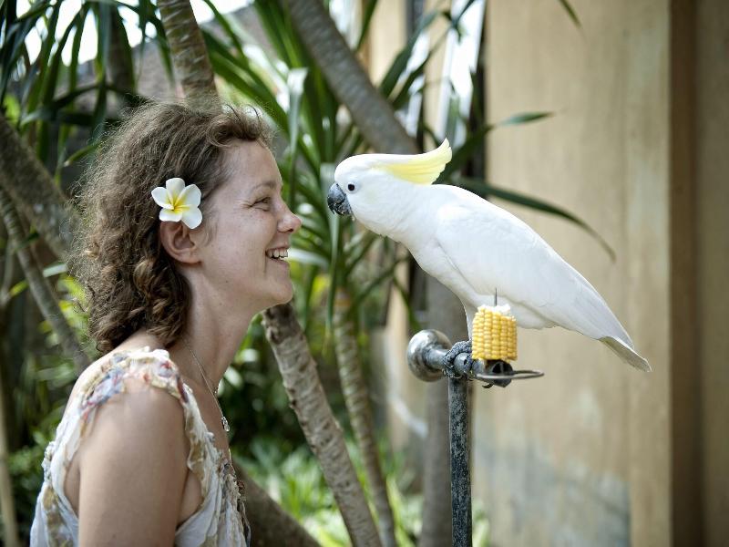 Teja Homestay - Genel