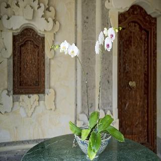 Teja Homestay fotoÄŸrafÄ±