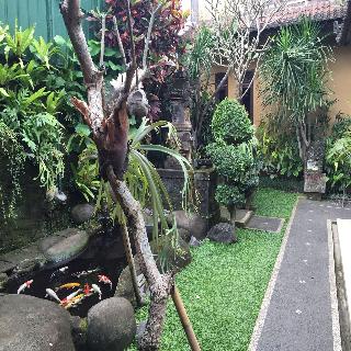 Teja Homestay fotoÄŸrafÄ±