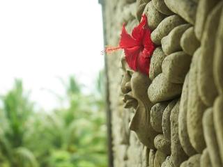 Eden House Ubud fotoÄŸrafÄ±