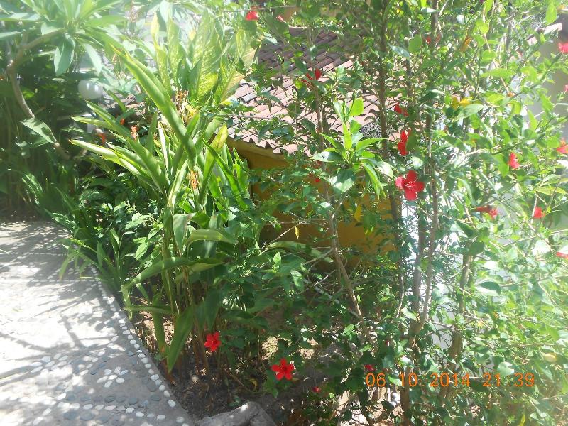 Titi Sedana Homestay - Genel