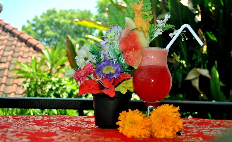 Titi Sedana Homestay - Oda