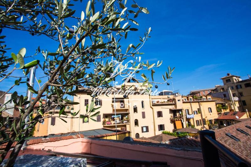 Villa Della Fonte Trastevere - Oda