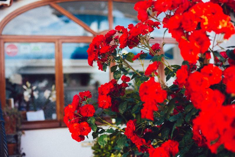 Il Giardino Dell Arte Guest House - Genel