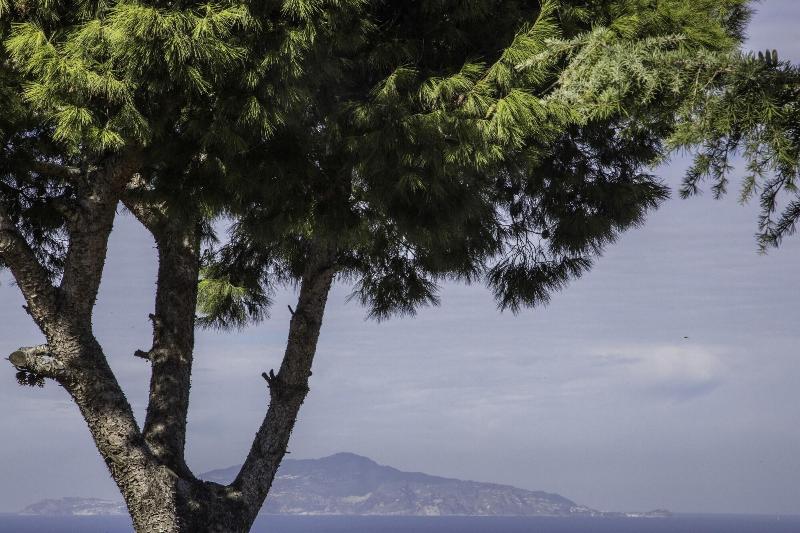 Il Giardino Dell Arte Guest House - Genel