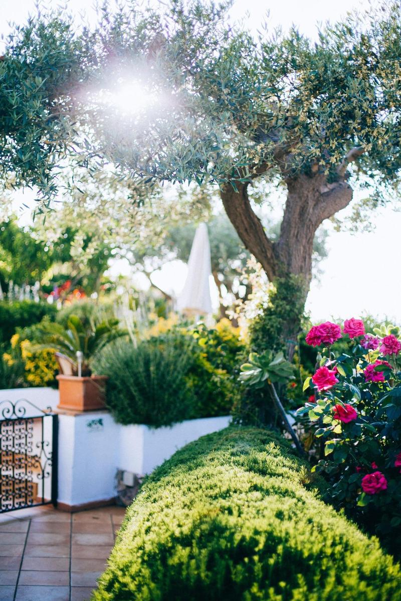 Il Giardino Dell Arte Guest House - Genel