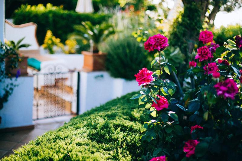 Il Giardino Dell Arte Guest House - Oda