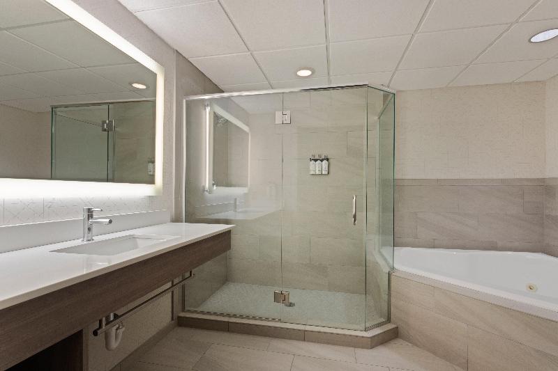 Holiday Inn Express Hauppauge-Long Island - Oda