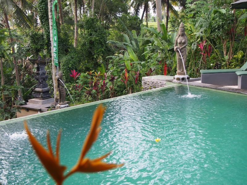 Junjungan Suite Villa - Aktivite