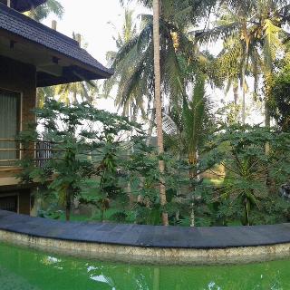 Junjungan Suite Villa fotoÄŸrafÄ±