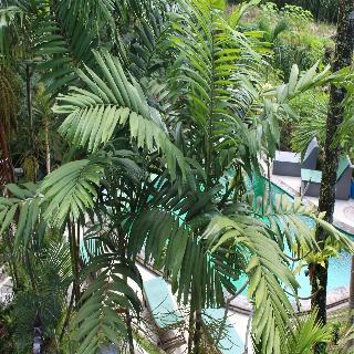 Junjungan Suite Villa fotoÄŸrafÄ±