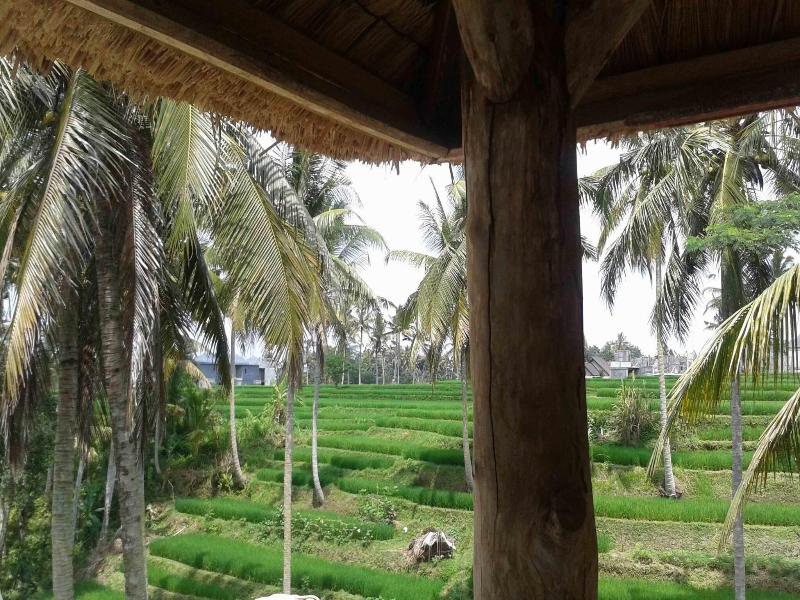 Junjungan Suite Villa - Genel