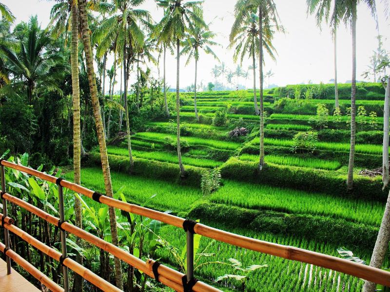 Junjungan Suite Villa - Genel
