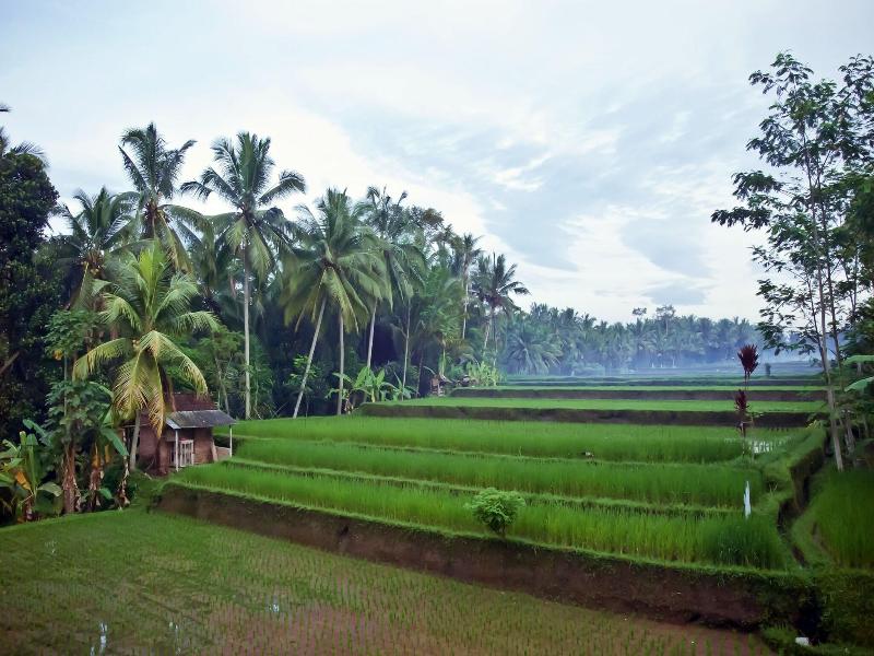 Junjungan Suite Villa - Genel