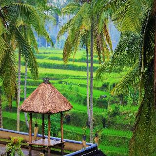 Junjungan Suite Villa fotoÄŸrafÄ±