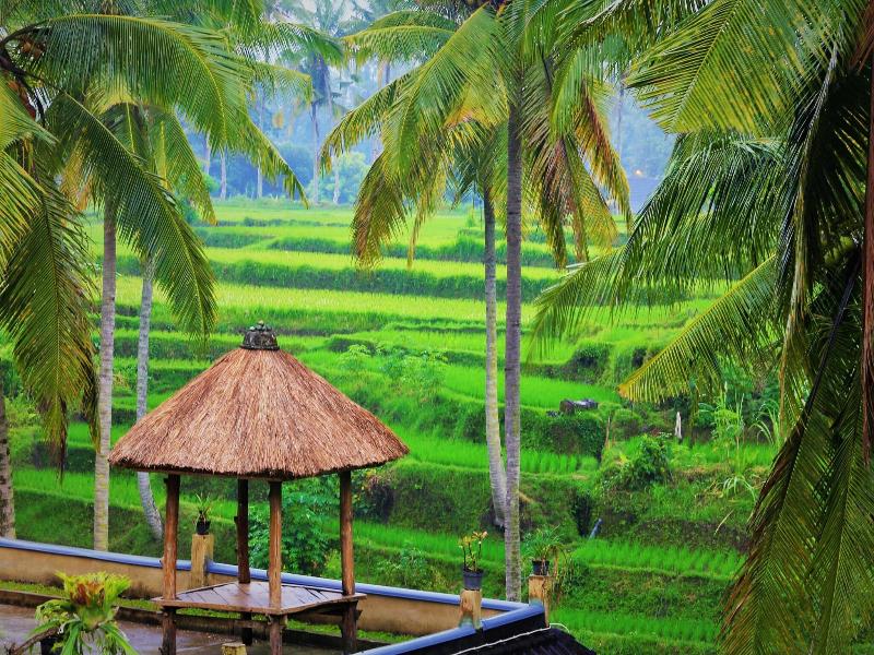 Junjungan Suite Villa - Genel