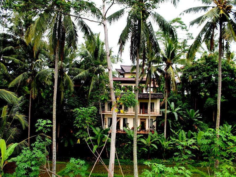 Junjungan Suite Villa - Genel