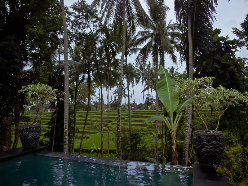 Junjungan Suite Villa - Havuz