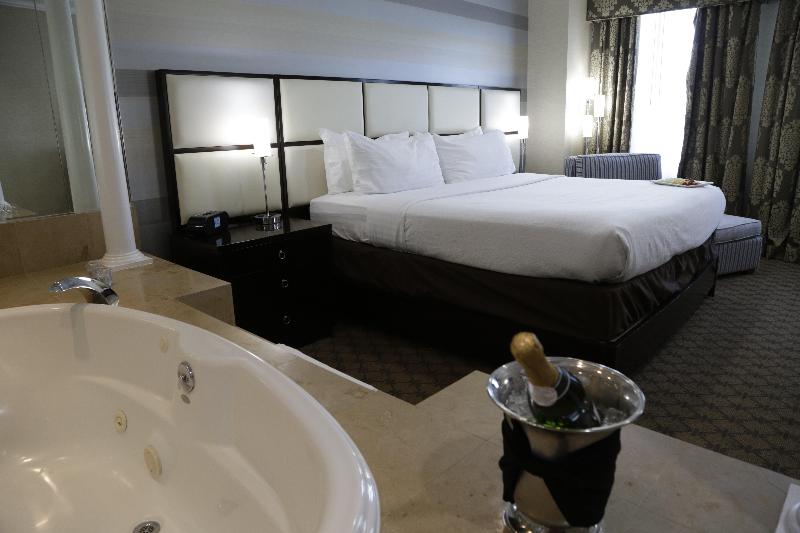 Holiday Inn Plainview-Long Island - Oda