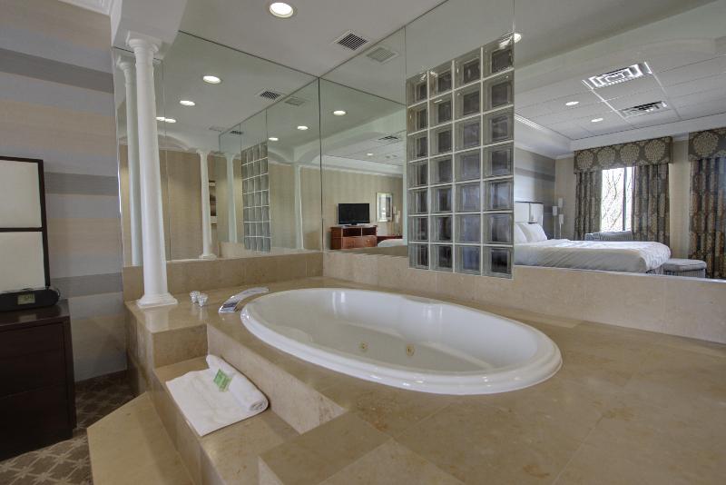 Holiday Inn Plainview-Long Island - Oda