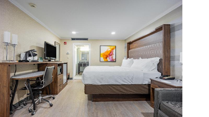Holiday Inn Plainview-Long Island - Oda