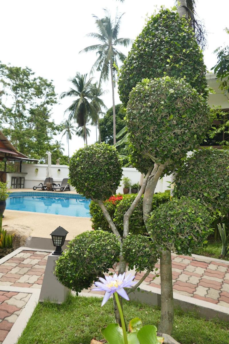 Baan Sukreep Resort - Aktivite