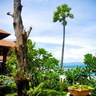 Rin Beach Resort fotoÄŸrafÄ±